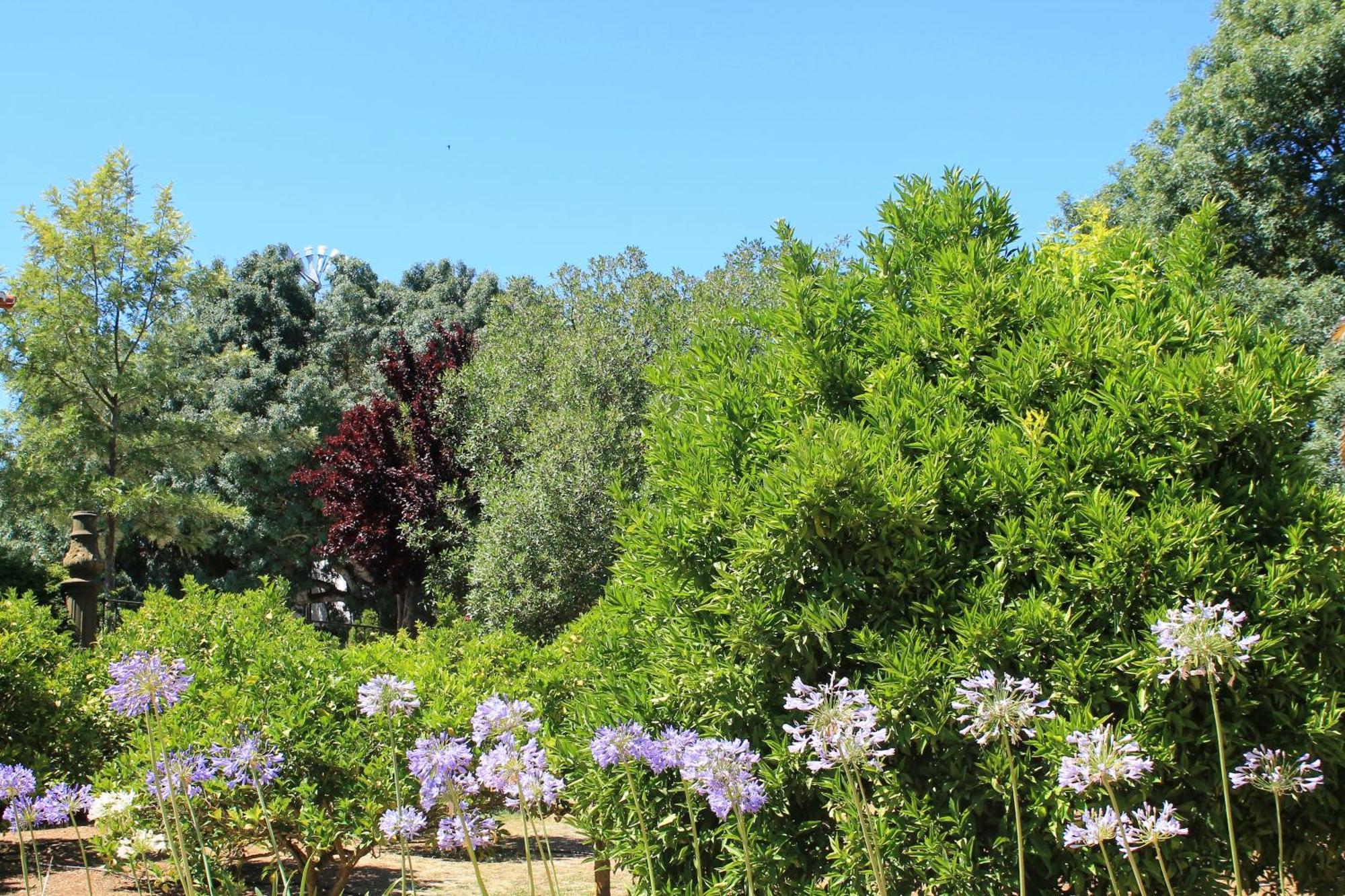 Quinta Do Casal De Santo Antonio Villa Alenquer Luaran gambar